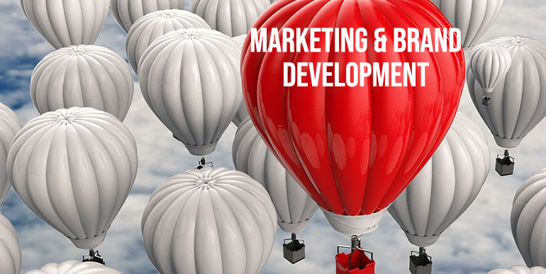 Marketing & Brand Development
